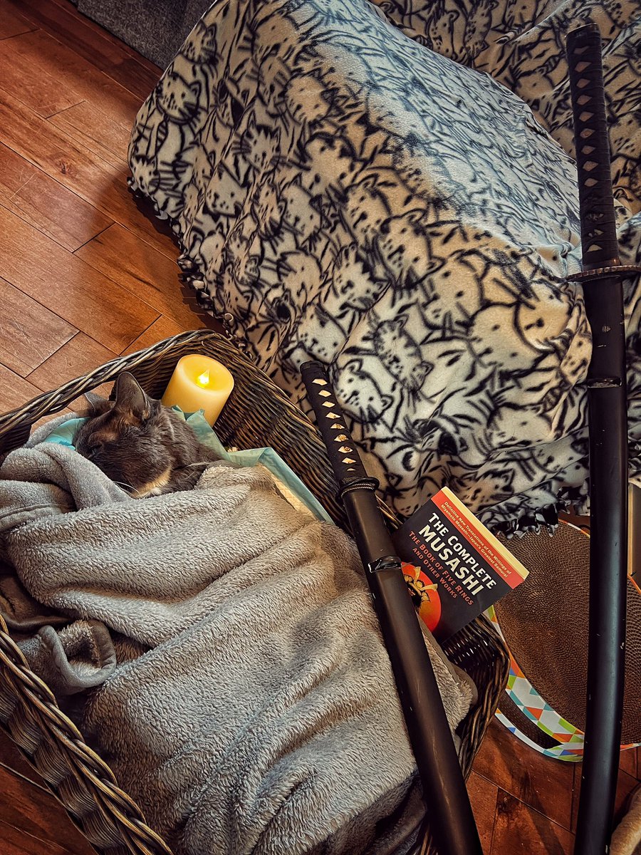 “Step by Step Walk the Thousand-Mile Road.”
Musashi Miyamoto
-
5/27 • 1346hrs || 2007-2025
-
Been a hard year, had to send Musashi on his next journey.
-
Rikku lit the way. Go forth to new battles, enjoy traveling among the stars. You’ll always have a light on here. Love you. 🖤