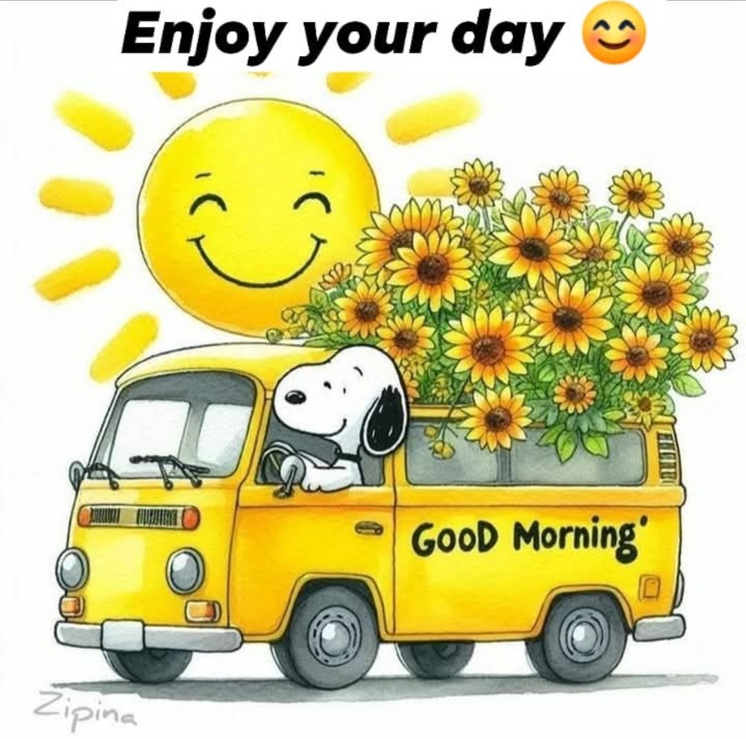 CherScheff's tweet image. Good morning ⛅️ 
Thursday 
#Sydneyweather
☺️🇦🇺
last days of autumn 🍂