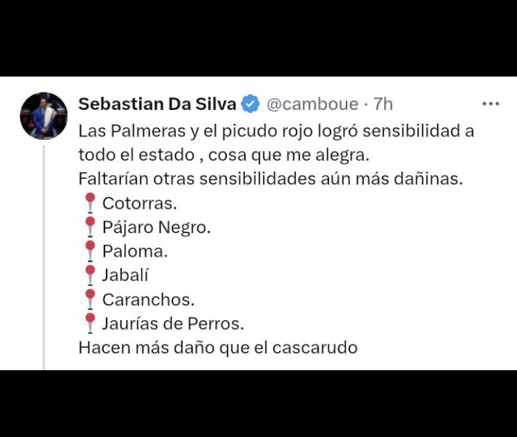 ❌Vos sos una plaga <a href="/camboue/">Sebastian Da Silva</a>❌
