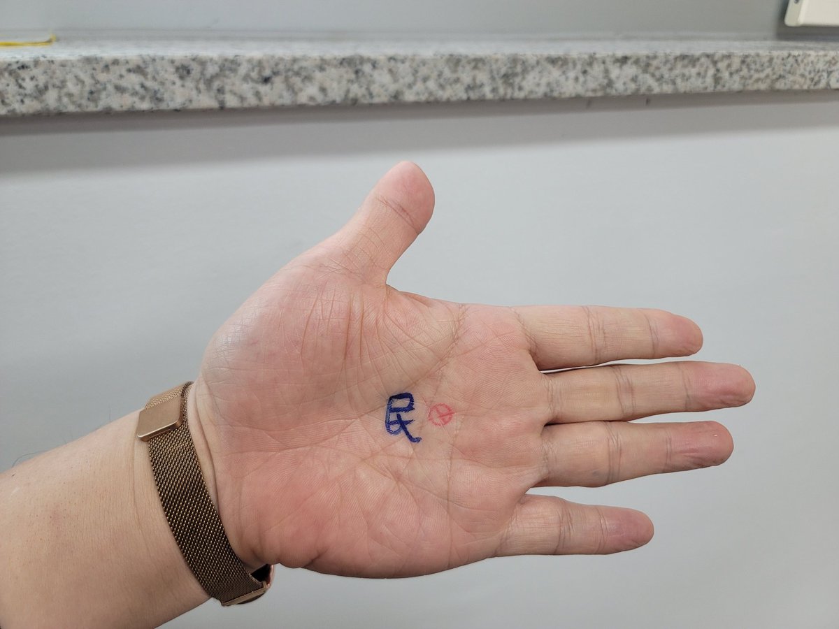 prof0309's tweet image. 사전투표 완료

res publica