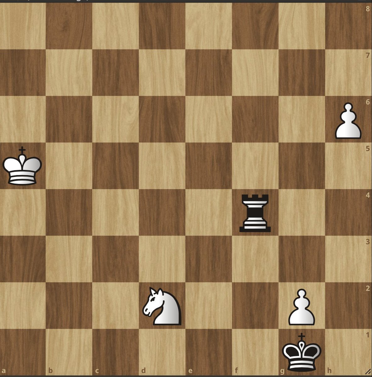 EliteMinds tweet media