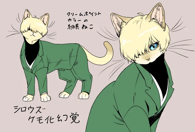 シロウズ🌹のケモ化幻覚
クリームポイントカラーの猫ちゃん 