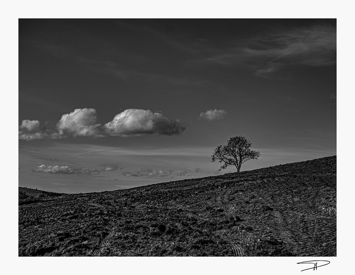 PIPIENPierre's tweet photo. Seul rescapé...
#Severac #Aveyron #Occitanie
28 mai 2025 https://t.co/zCPBuWTsYg