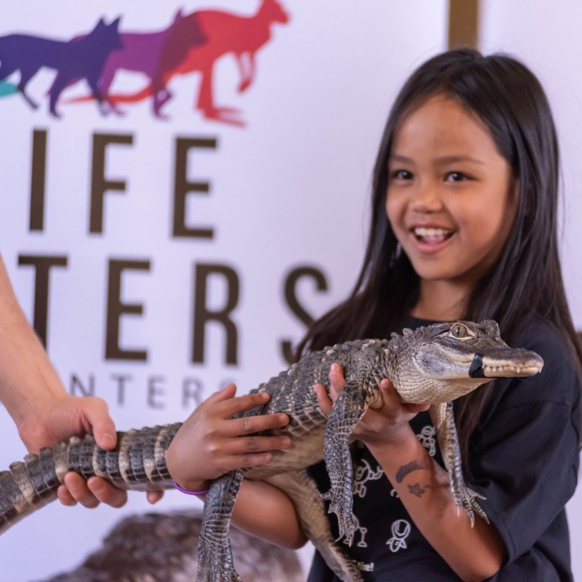 Back by popular demand, it's Wildlife Encounters!
Be sure to check it out during the Best Week in July!!