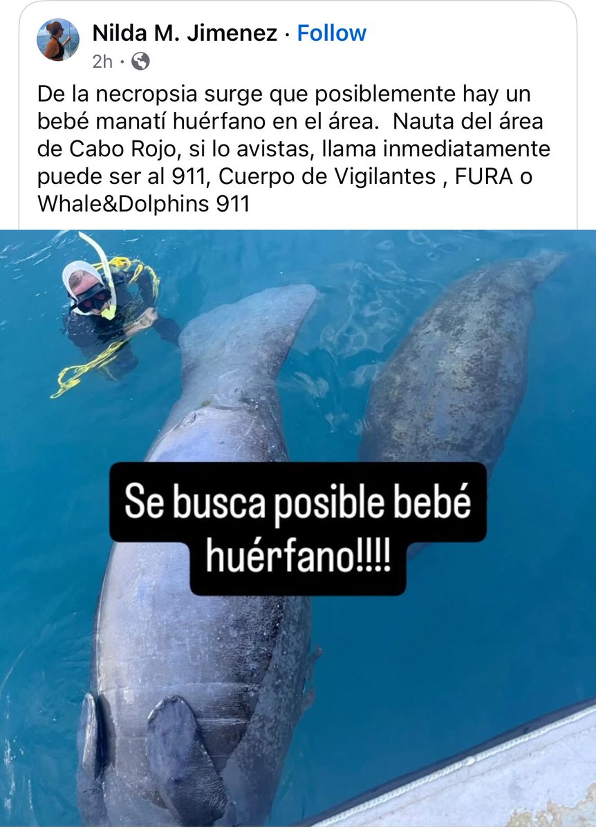 Puerto Rico anda administrado por una ganga de partidos pro ecocidio, y gobernados por una Junta dictatorial que nos somete a destruir todo en nombre de la deuda. Y aquí andamos, en el libertinaje extremo, cada espacio es de consumo chatarra,  sin importar el ecosistema, solo el