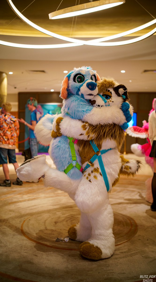 ππ€Xanderππ€ (@thatlionthing) on Twitter photo I found this cute doggo, can I take them home?
πΆ<a href="/TiredBreezy/">β¨οΈ Polaris β¨οΈ</a>
πΈ <a href="/Blitz__Fox/">πΎBlitzPupπΎ π ANIMALZ πCORE ELEMENT</a> I found this cute doggo, can I take them home?
πΆ<a href="/TiredBreezy/">β¨οΈ Polaris β¨οΈ</a>
πΈ <a href="/Blitz__Fox/">πΎBlitzPupπΎ π ANIMALZ πCORE ELEMENT</a>