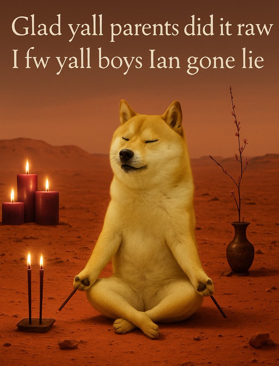 Sir Doge of the Coin ⚔️ tweet media