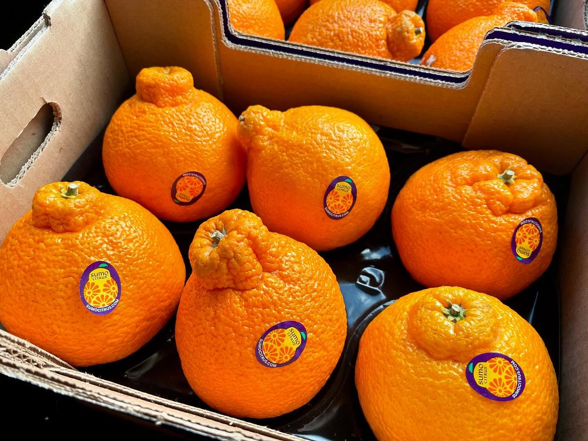 A thing of beauty. A box full of joy.💜

Every season starts here—and just like that, it’s gone. Already counting down the days until next season!