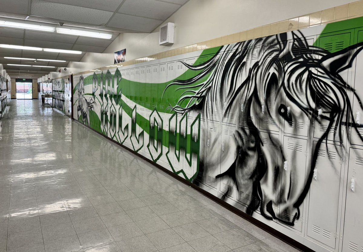 MustangsPHMS's tweet image. A Hall just got a glow-up and we are loving these new murals! Check out our #PHMSMustangsPRIDE! 💚🐎 @MtDiabloUSD