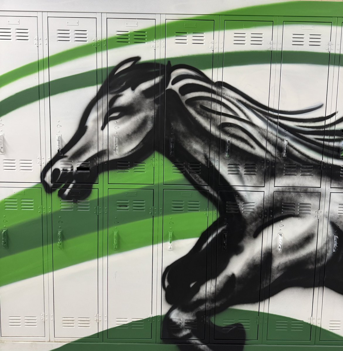 MustangsPHMS's tweet image. A Hall just got a glow-up and we are loving these new murals! Check out our #PHMSMustangsPRIDE! 💚🐎 @MtDiabloUSD