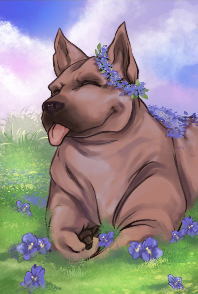 🌈💖💛💙Tifany @ Holmat💖💛💙🌈 tweet media