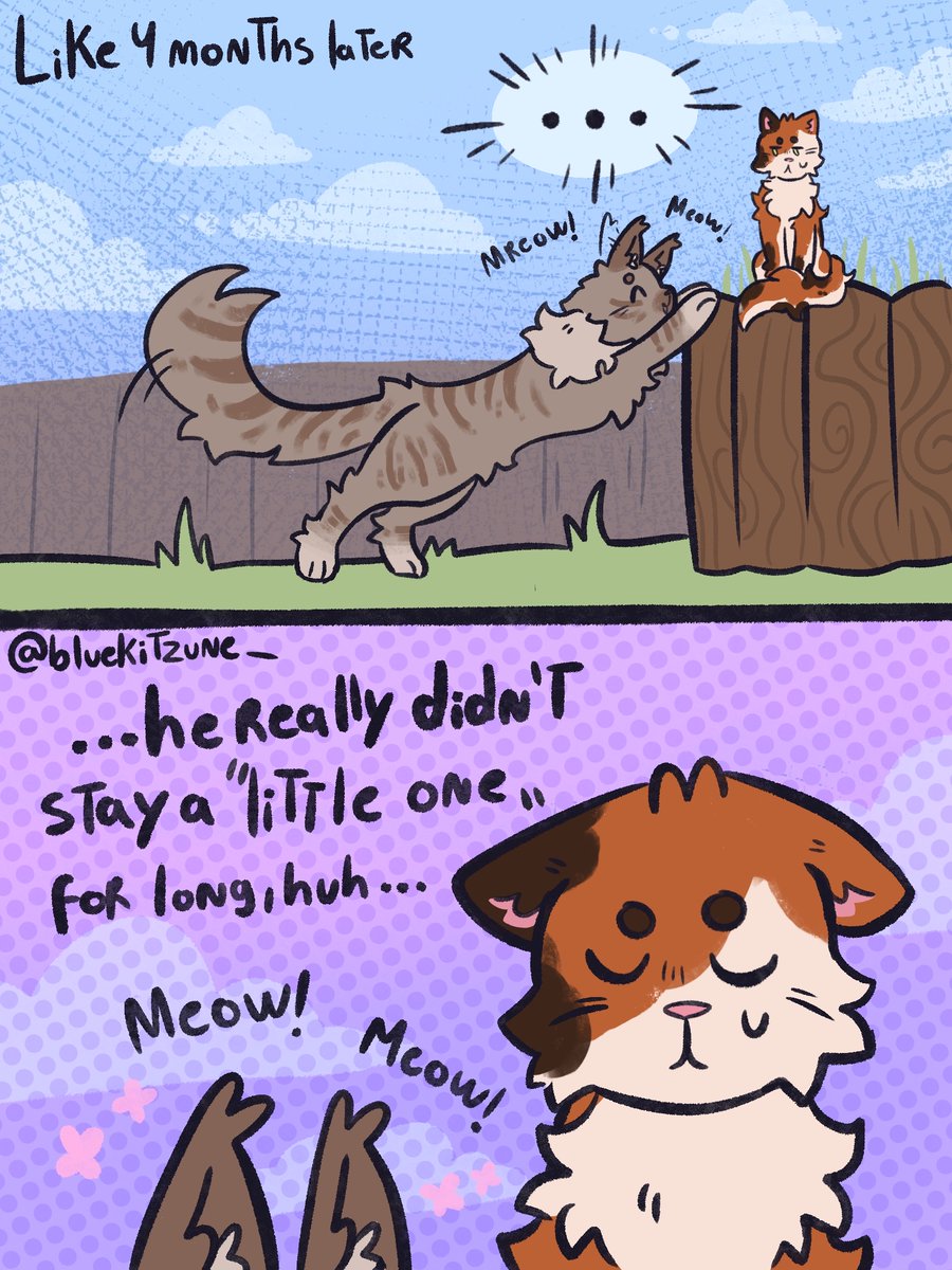 I just really like cats, man 

Also no clue if this is how K'lir looks, this is just how i always imagined him in my head lol - though, maybe he was even fluffier there. Anyway, we LOVE Roz and K'lir in this household!!!!