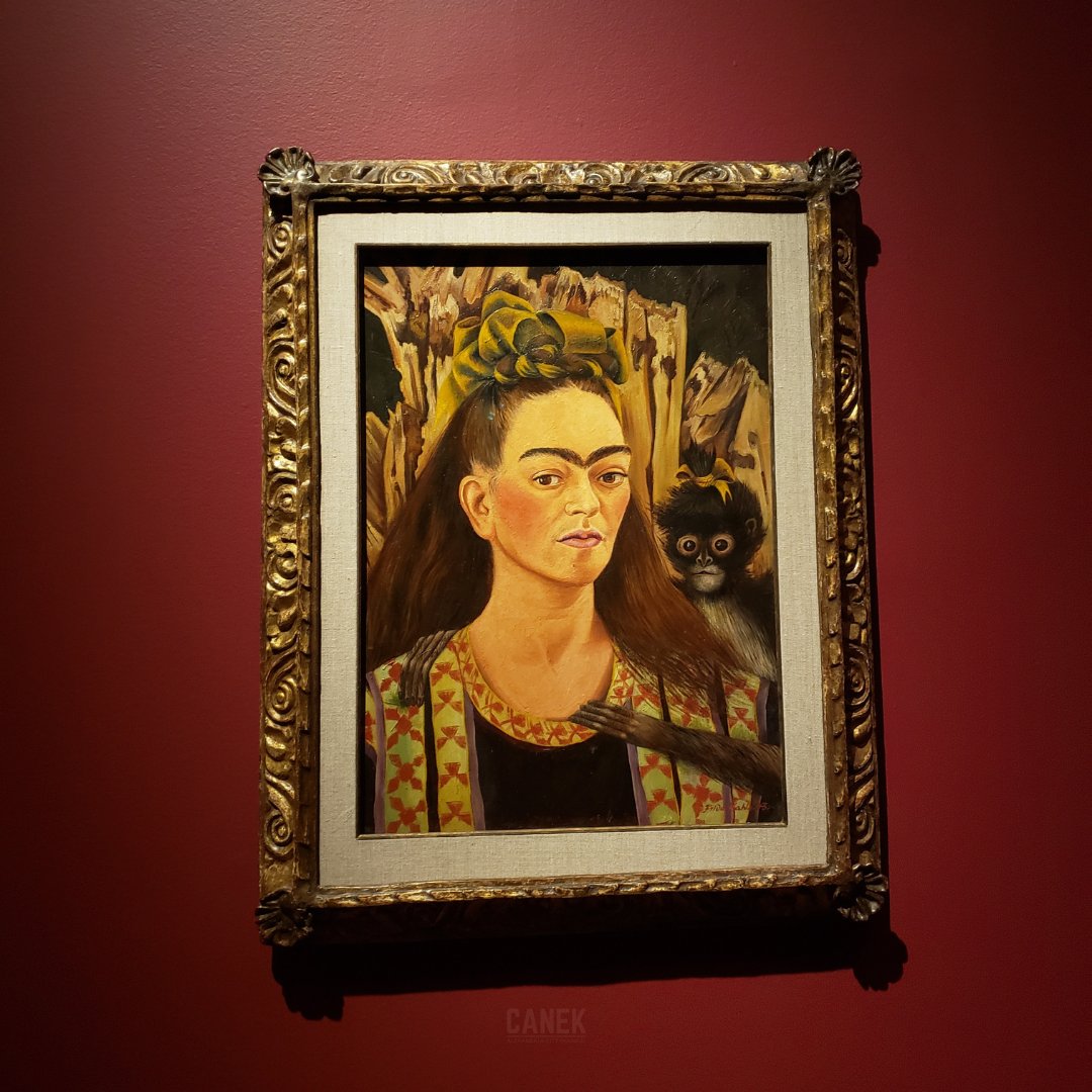 Canek Aguirre (@canekforcouncil) on Twitter photo Frida: Beyond the Myth at <a href="/vmfamuseum/">Virginia Museum of Fine Arts</a> is a window into the extraordinary life of one of the preeminent artistic giants of the 20th century. It was amazing to get a small glimpse into her pain, resilience, tragedy & triumph. The last day is September 28.
h/t <a href="/MexCultureDC/">Mexican Cultural Institute DC</a> Frida: Beyond the Myth at <a href="/vmfamuseum/">Virginia Museum of Fine Arts</a> is a window into the extraordinary life of one of the preeminent artistic giants of the 20th century. It was amazing to get a small glimpse into her pain, resilience, tragedy & triumph. The last day is September 28.
h/t <a href="/MexCultureDC/">Mexican Cultural Institute DC</a>