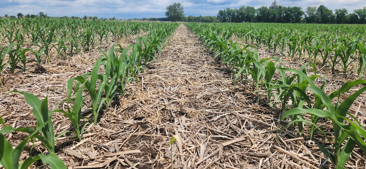 Ryan Heiniger tweet media