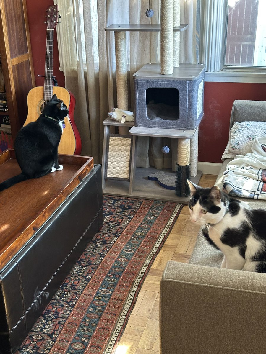 Danny Deraney tweet media