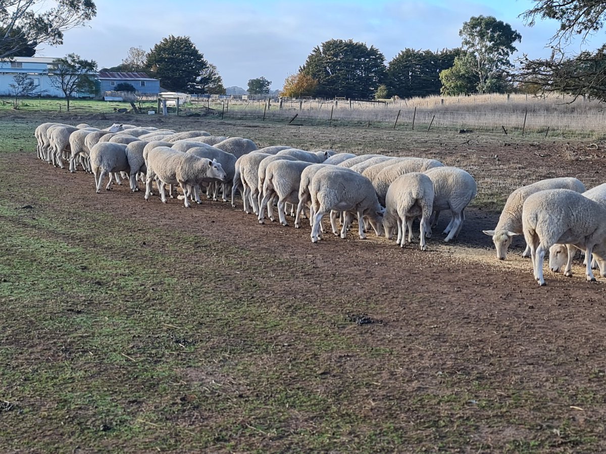 Stuart Kemp tweet media