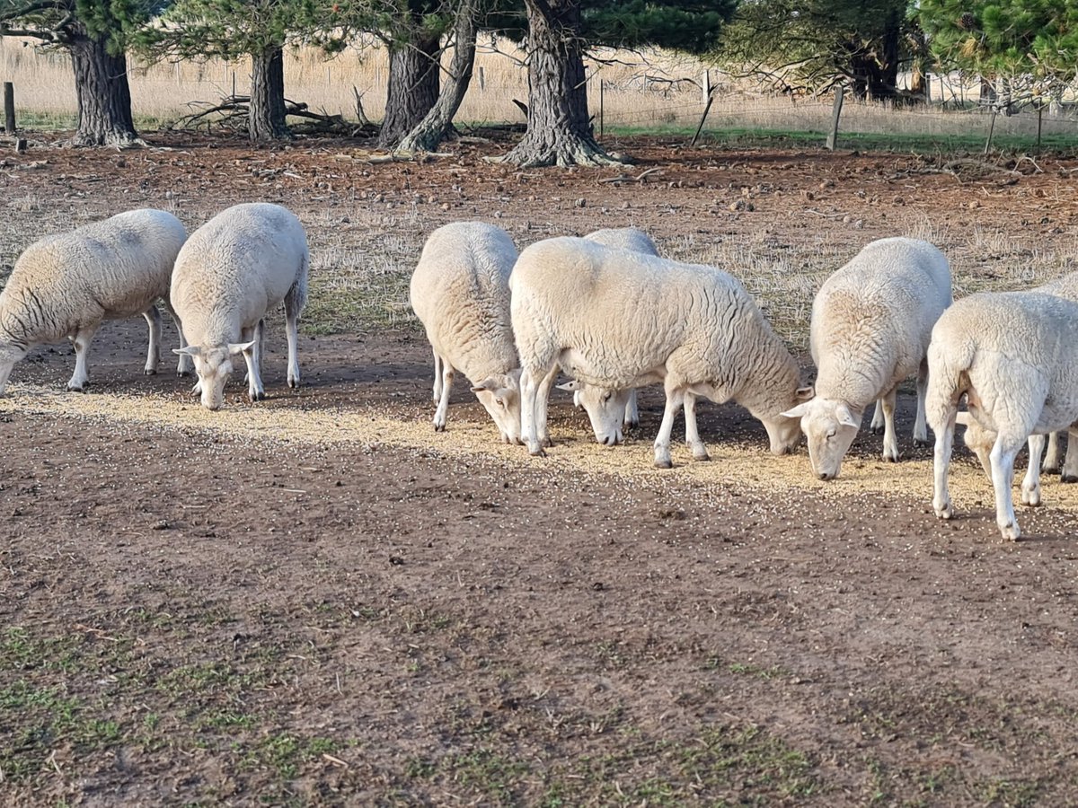 Stuart Kemp tweet media