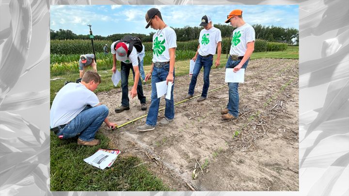 Nebraska CropWatch (@unl_cropwatch) on Twitter photo Dig into hands-on #agronomy & lead your team to the top in #Nebraska’s 2025 Youth Crop Scouting Competition. Registration is open until July 15 — but don’t wait, only 10 teams compete! buff.ly/oVoFzVg
#NebExt #ag #agyouth #4H <a href="/UNLExtension/">Nebraska Extension</a> <a href="/UNL_IANR/">Institute of Agriculture and Natural Resources</a> <a href="/bvandewalle2/">Brandy VanDeWalle</a> #FFA Dig into hands-on #agronomy & lead your team to the top in #Nebraska’s 2025 Youth Crop Scouting Competition. Registration is open until July 15 — but don’t wait, only 10 teams compete! buff.ly/oVoFzVg
#NebExt #ag #agyouth #4H <a href="/UNLExtension/">Nebraska Extension</a> <a href="/UNL_IANR/">Institute of Agriculture and Natural Resources</a> <a href="/bvandewalle2/">Brandy VanDeWalle</a> #FFA