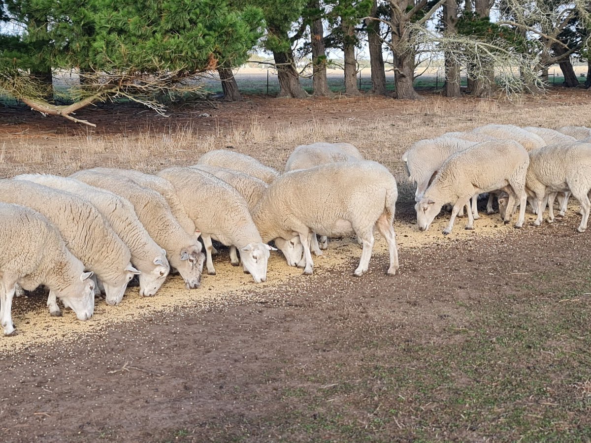 Stuart Kemp tweet media