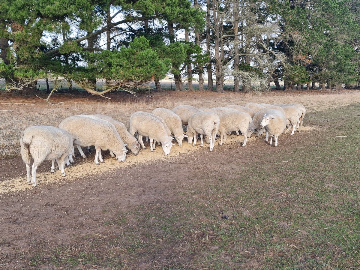 Stuart Kemp tweet media