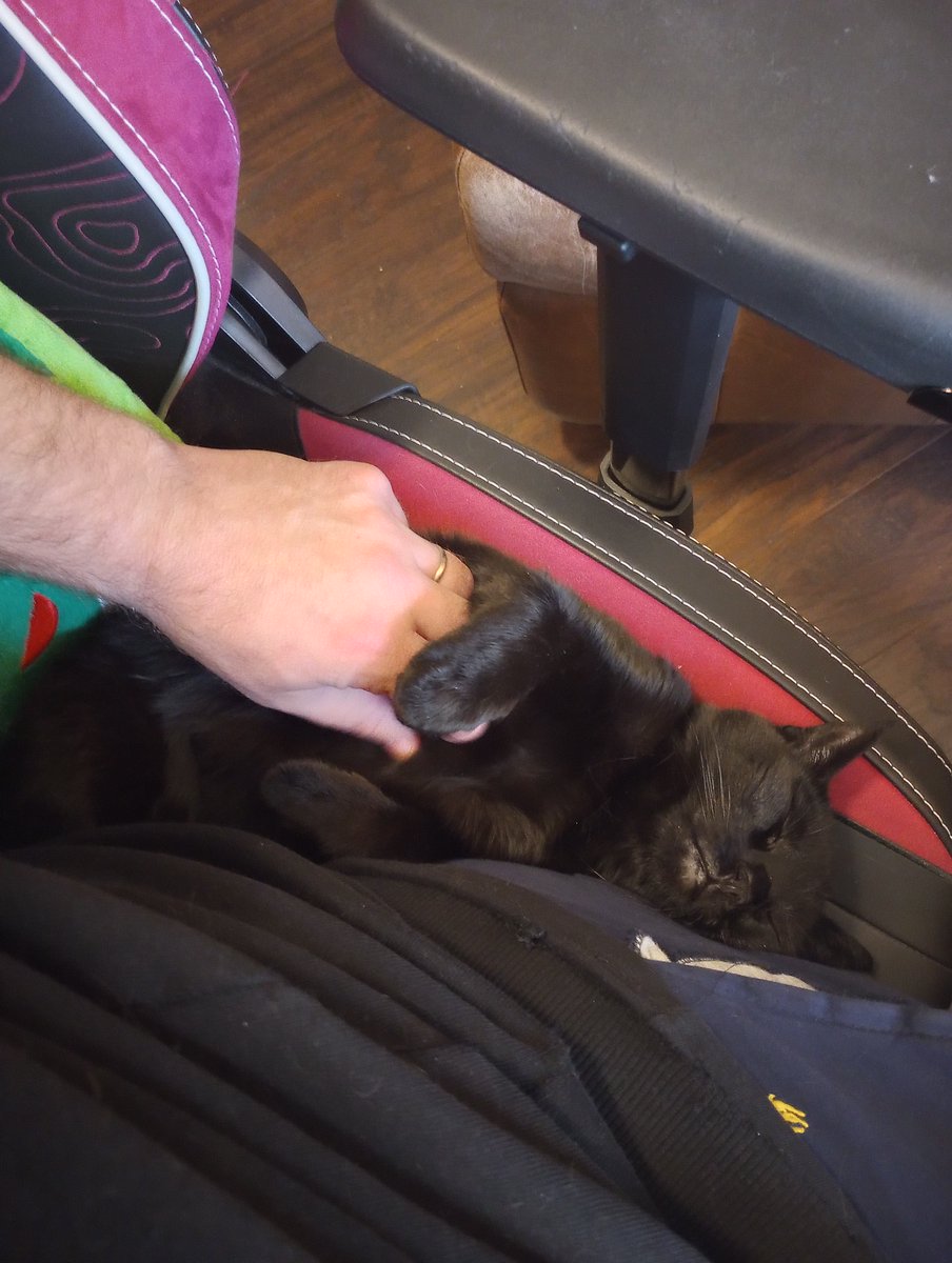 ⭐️REVIEWS!⭐️
Copilot Tinyo just wants sleep. But if you're like me, you want people to read RETURN TO ARAMON! If you've read it, I covet your honest review. It goes a long way to help this book find its audience! Are you ready? 🙏

goodreads.com/book/show/2321…
amazon.com/Return-Aramon-…