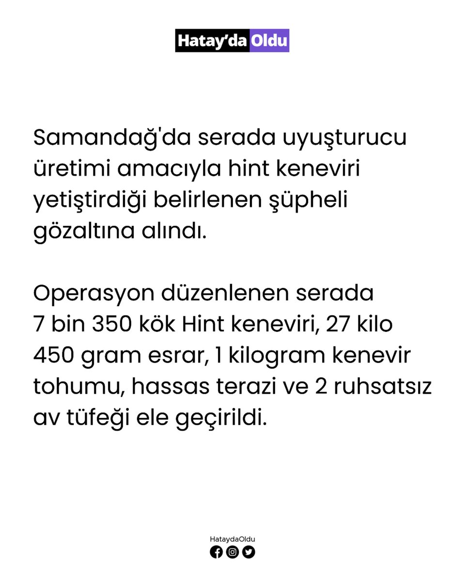Hatay’da serada kenevir yetiştiren zanlı gözaltına alındı. #hatay #samandağ