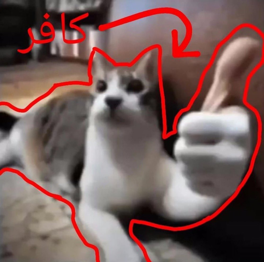 الوليد tweet media