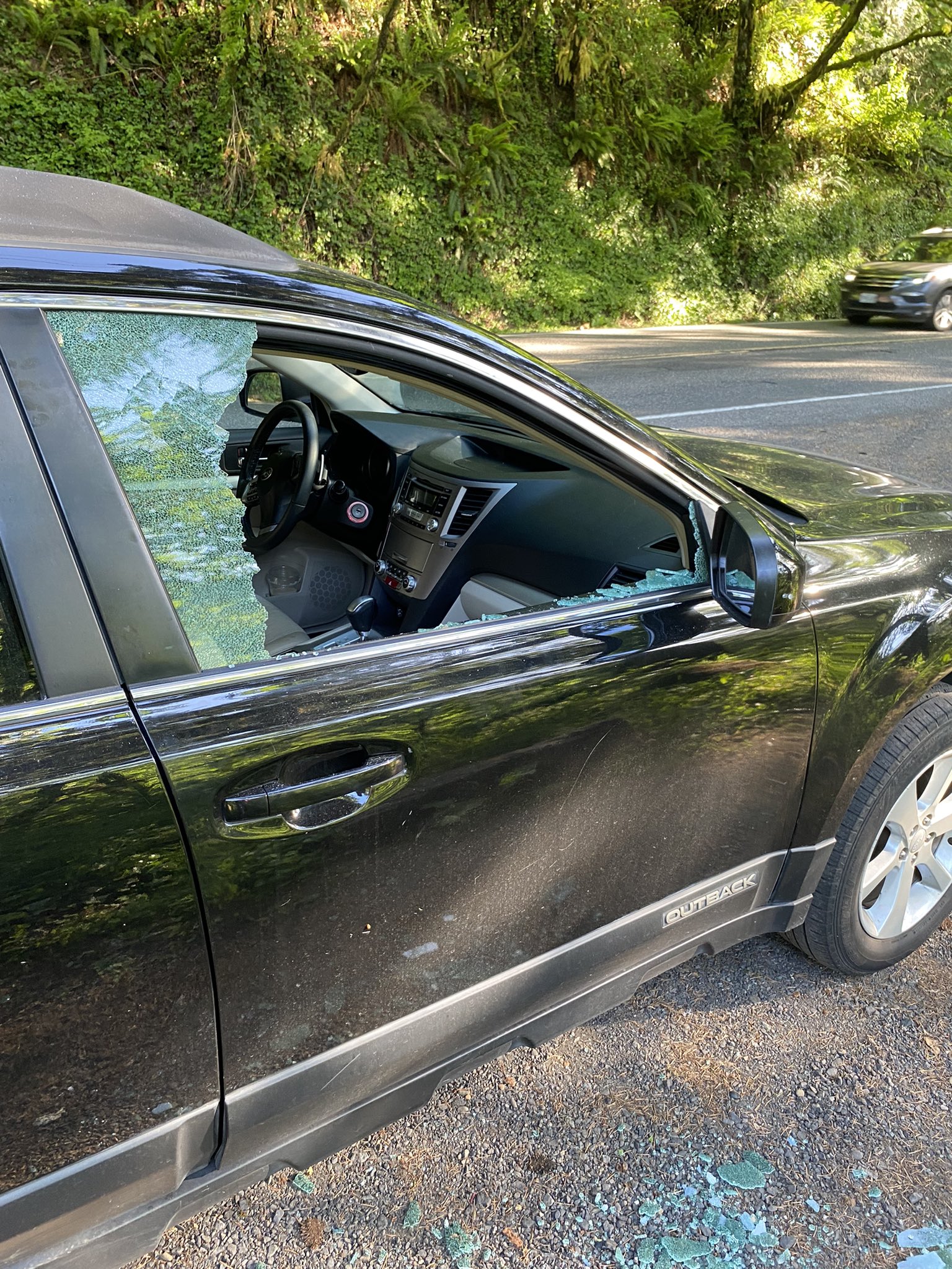Car got broken into and got what was left of my money stolen. If you like my butt and my jorkin’ content, now would be a great time to support your local silly girl 💕 anything helps right now https://t.co/akSaEkt64J
