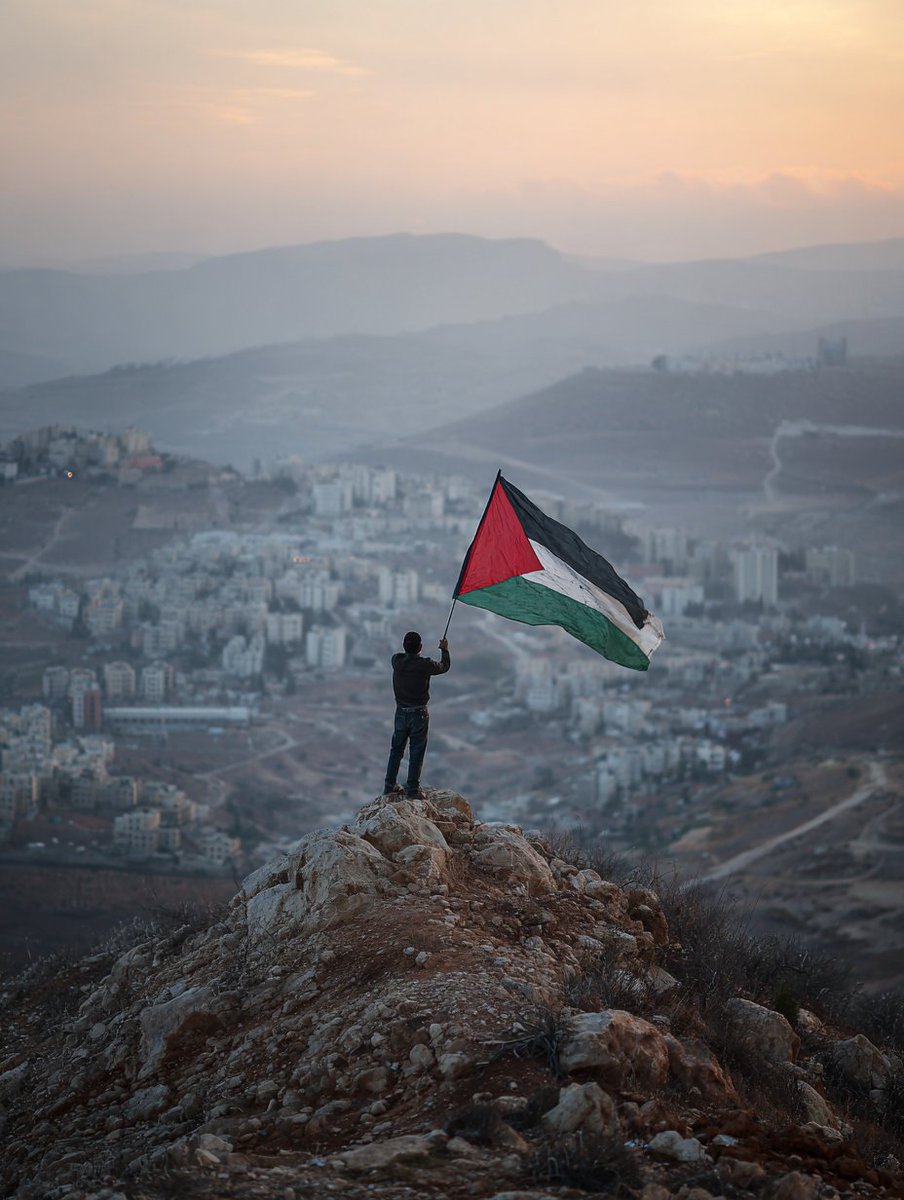 Ronin404's tweet image. #FreePalestine