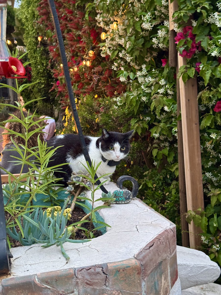 Slow Mo Sunset in Santa Monica 

<a href="/GerberKawasaki/">Ross Gerber</a>