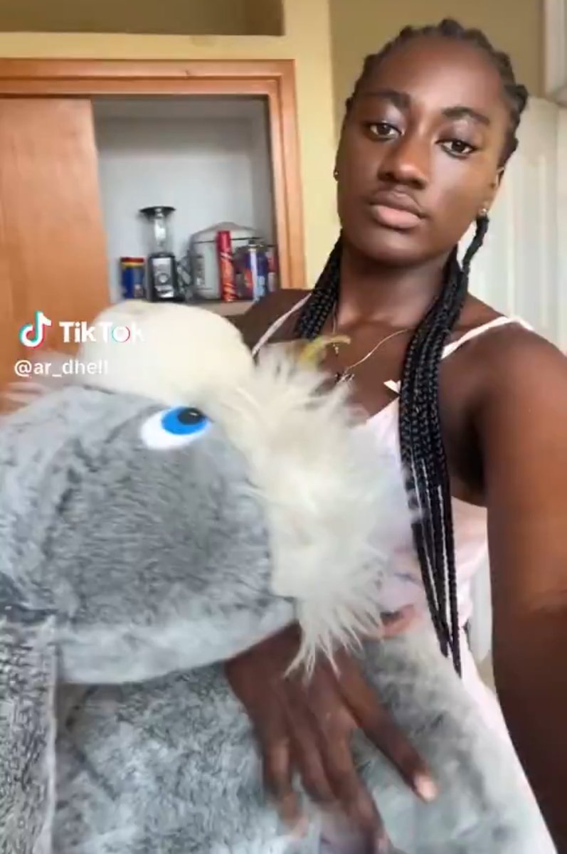 This Baddie challenge on tik tok is now the trendiest challenge world 🌎 wide 🥶
A thread 🥶🤭