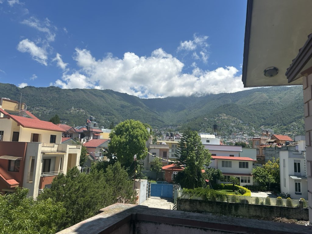 Good morning from my Backyard