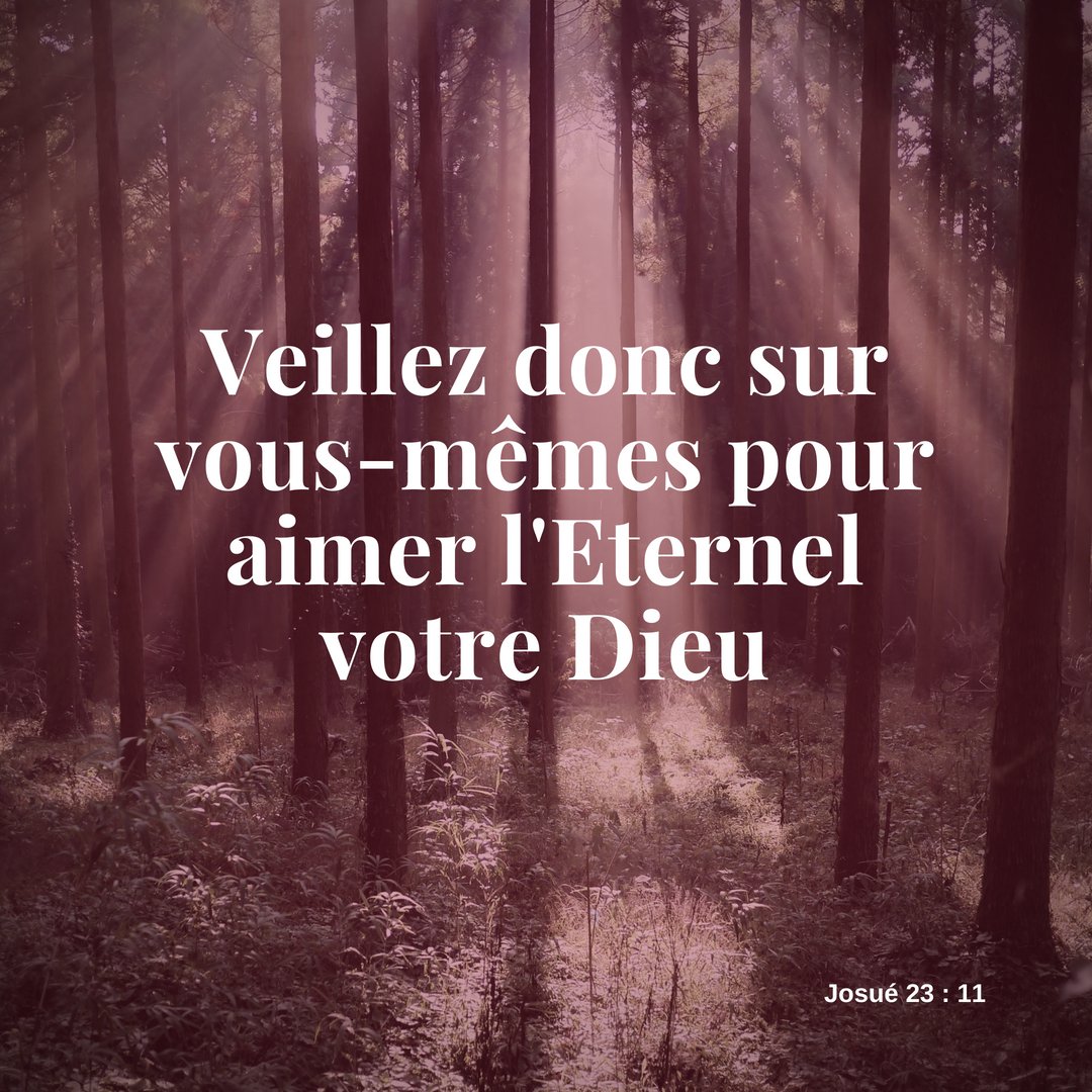 la_Bible's tweet photo. https://t.co/StQUFAIkE8