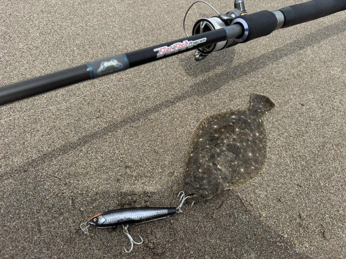 tatsuya0721y's tweet photo. 小型でもヒラメって嬉しいよね
スローにスローに、、、、
スペシャルゲストの🦀も
SBショット☝️
#SBショット95S
#DUEL
#HARDCORE
#ECOGEAR
#NORIESOCEAN
#FLATFISHPROGRAMMU
#シューティングサーフ96カスタム
#DUELーArmoredーFーPlusーproー08号
#ピンクフロロ16lbs
#SHIMANO3000番
#SWANS https://t.co/D09UezREhL