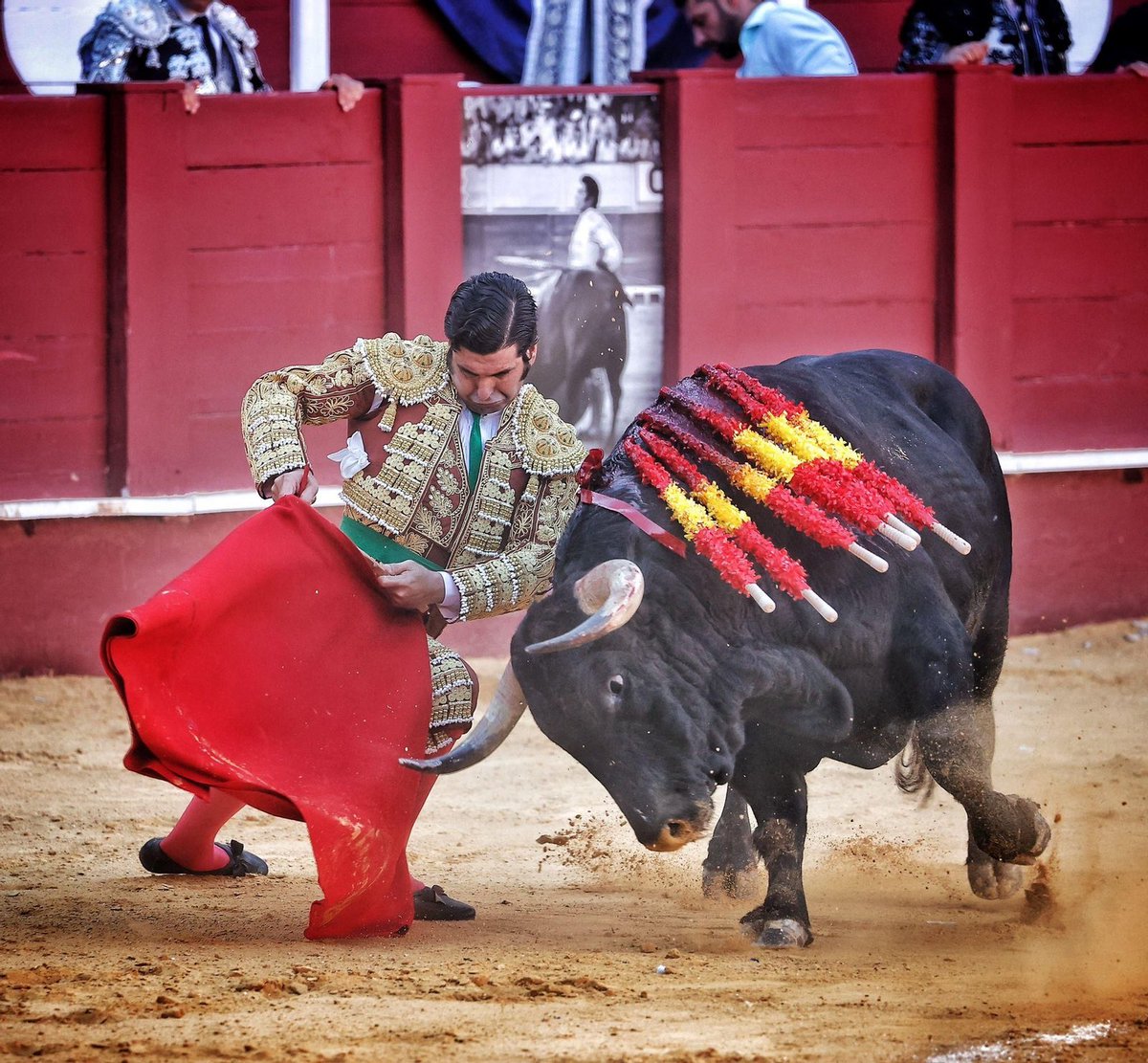 Esto me escribe un aficionado:

“Después de Morante no hay nada…para los aficionados no es bueno ver el principio y fin del toreo en este tío. Deja al resto a la altura del betún. Me gustaría no haberlo visto torear nunca y así haber podido disfrutar de los restos de la fiesta”.