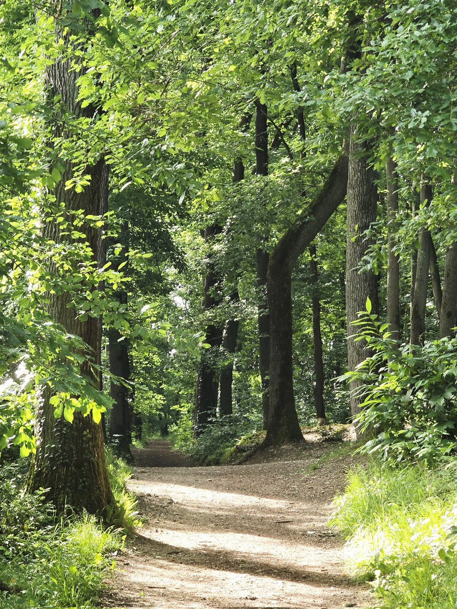 Bonjour, très belle journée