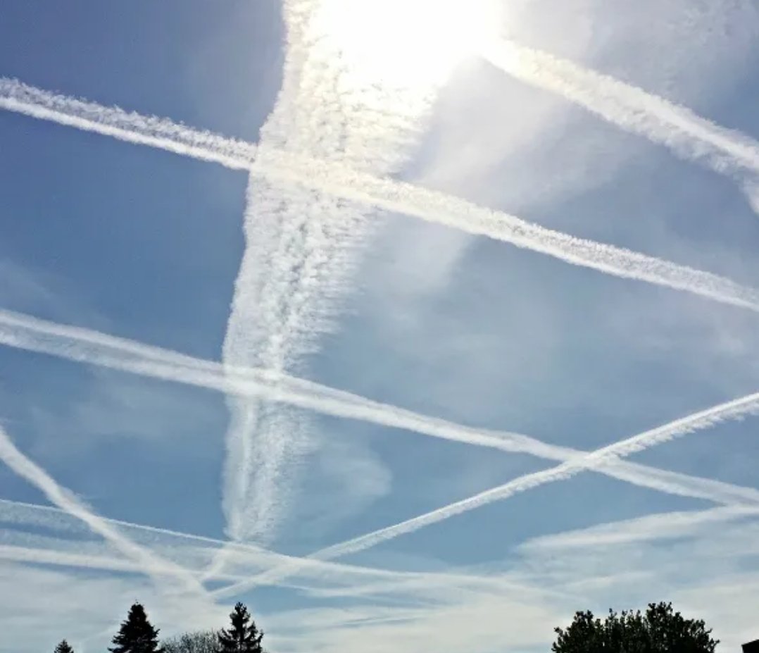 sferriam's tweet image. Quanto è bello vedere tutte le istituzioni che se ne sbattono ampiamente i coglioni...

Ed io dovrei seguirvi?

Ma andate affanculo