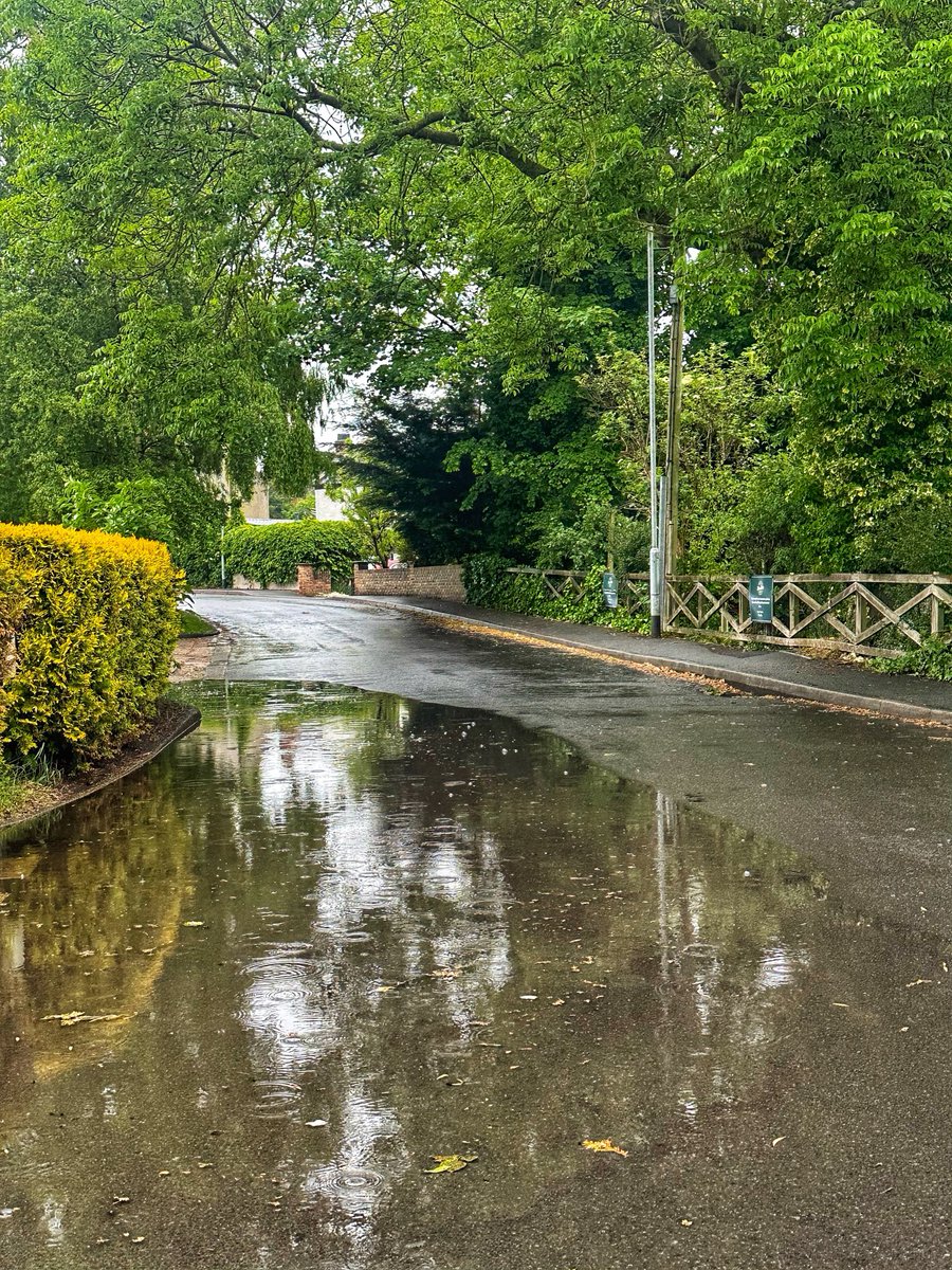 IanGee19's tweet photo. A bit of northern grimness weather wise, for leafy #Redmarshall with overnight rain continuing through the early dog walk. Wet dog smell alert! @StormHour @ThePhotoHour #rain #Grimupnorth https://t.co/IVFdYjt5dU