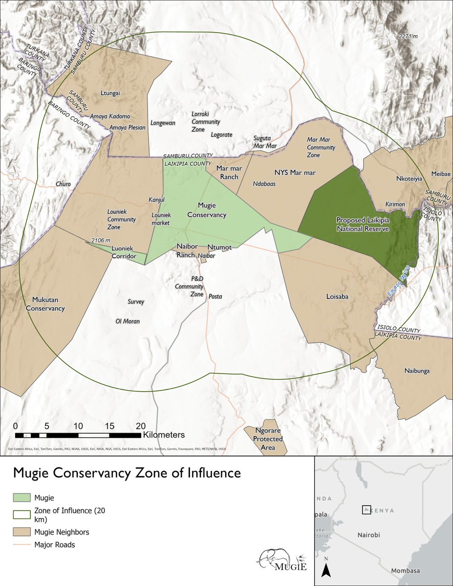 Mugie Conservancy is a vital wildlife corridor linking the Rift Valley, Laikipia Plateau &amp; Northern Kenya’s drylands. 🌍🦓

It’s more than conservation—it’s about people, biodiversity, grazing, and health.

Every corridor counts. Every connection matters.

#LandscapeConnectivity