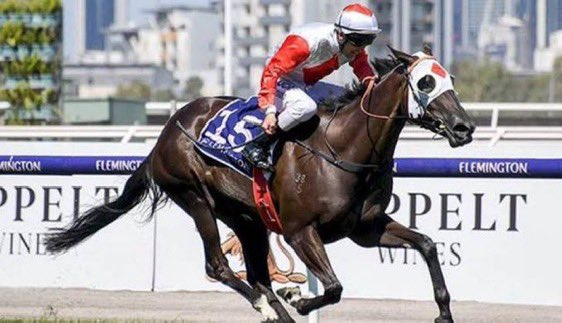 tequilaqueen07's tweet photo. 🇯🇵NORTHERNRACING 🇯🇵 &amp;Tasmanian G1 Winning mare#MYSTICJOURNEY has delivered a Dk bColt foal by World Champion #EQUINOX in Feb 2025 in Japan where she now resides……she had a #SATURNALIA br Filly in 2024.. https://t.co/dqUz6kMYtS