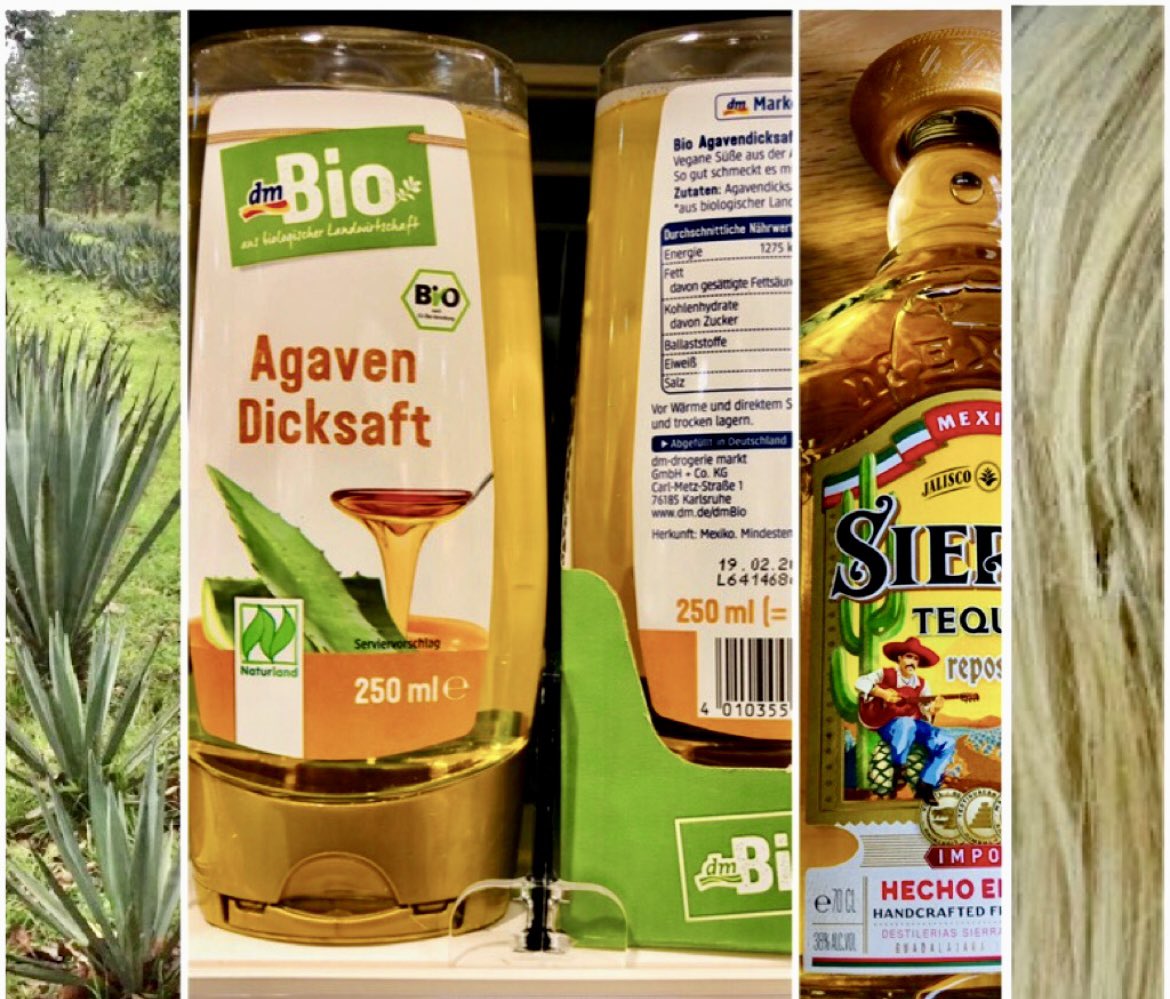 A Vision for Restoring India’s Wastelands
I was inspired when PM spoke:
“India will restore 26 million hectares of degraded land by 2030.”
Here’s the scope to drive agroforestry-based economic development. 

The brief:
linkedin.com/posts/mukti-sa…

<a href="/PMOIndia/">PMO India</a> <a href="/narendramodi/">Narendra Modi</a> <a href="/NITIAayog/">NITI Aayog</a>