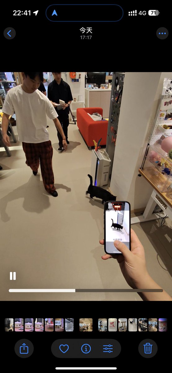 我在路上遇见猫：