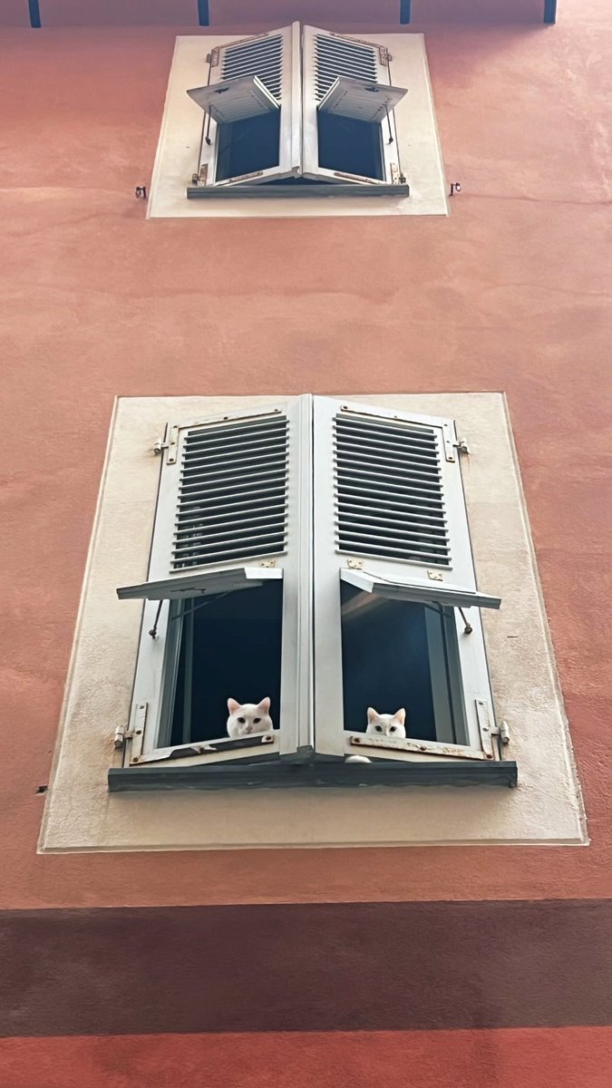 stellcorse's tweet photo. Bastia. https://t.co/aU83jN7A3S