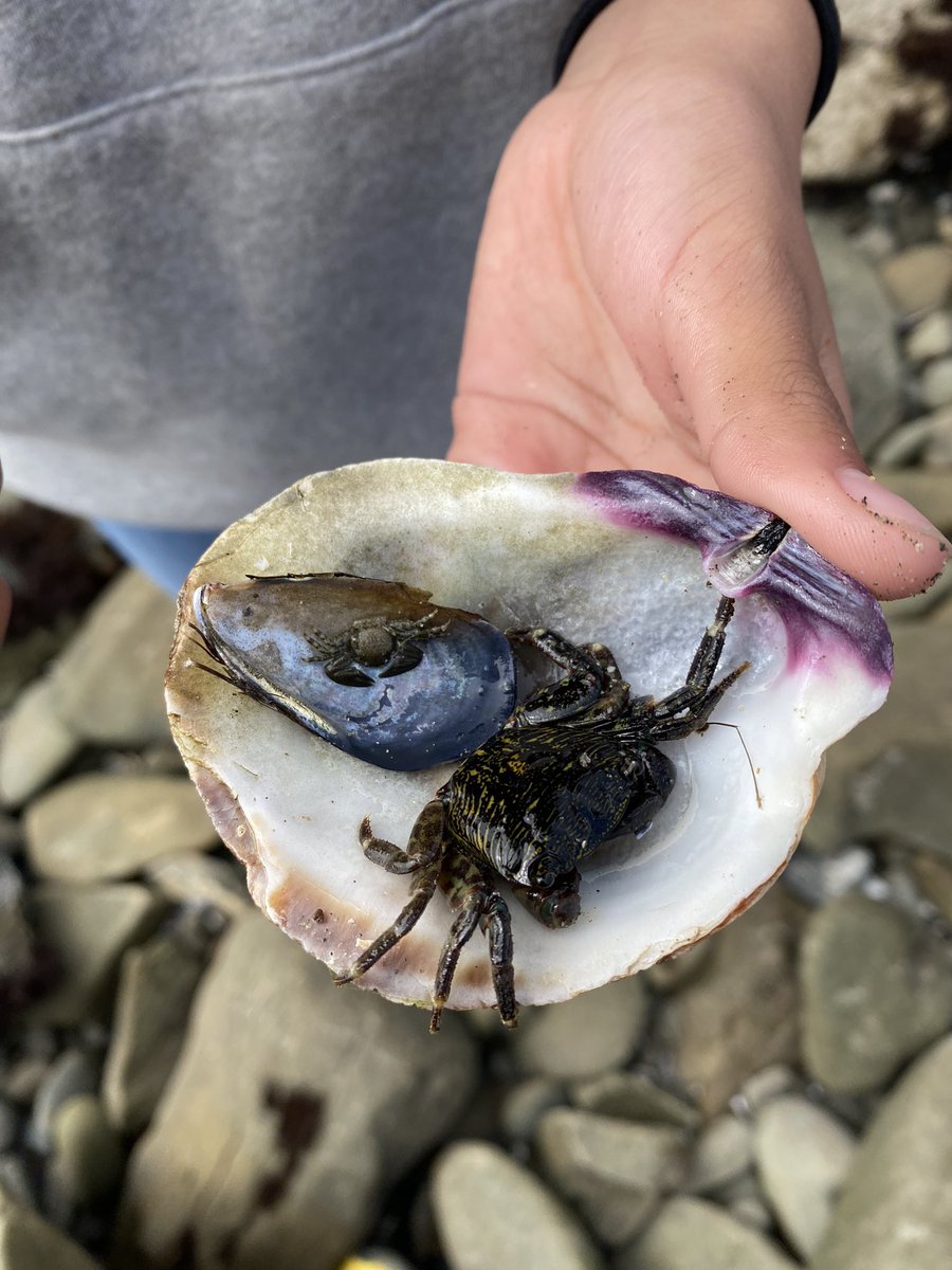 AT0MICLES's tweet photo. Nature dump starting w CRAB https://t.co/XO1HcupCLF
