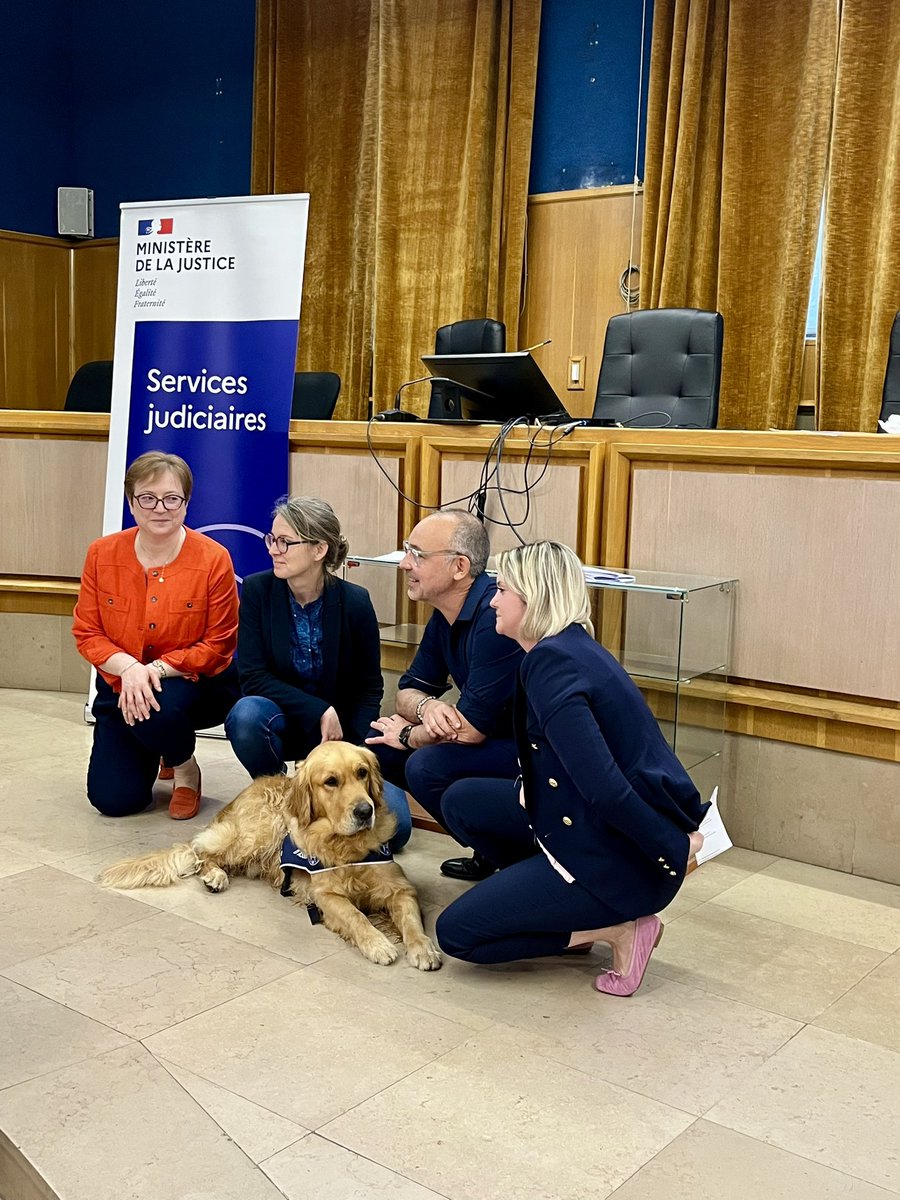 Présentation de Uno, chien d’assistance judiciaire au <a href="/TribunalTroyes/">Tribunal Troyes</a>. Uno viendra au soutien des victimes pour les apaiser et les aider. 👏🏻 à l’AVIM-RS <a href="/FranceVictimes/">France Victimes</a> pour son engagement !