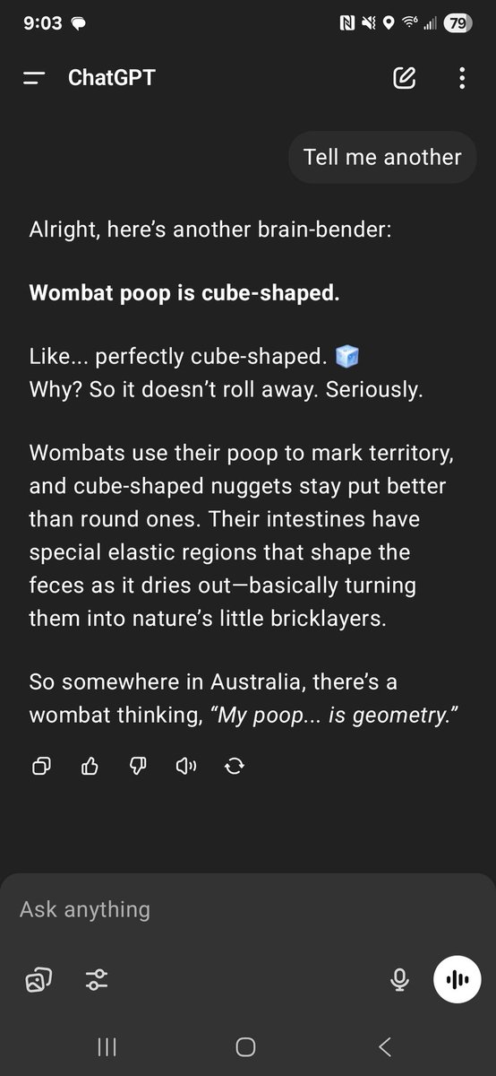 MythicalMav tweet media