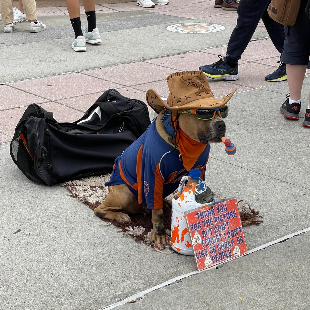 jack (@jolly_olive) on Twitter photo .<a href="/StevenACohen2/">Steven Cohen</a> If there's any way to put a stop to this, please do
I see posts about this poor dog every year, but nothing has been done about it in six years' time
I's a deeply uncomfortable experience every time myself and many other Mets fans come to Citi Field .<a href="/StevenACohen2/">Steven Cohen</a> If there's any way to put a stop to this, please do
I see posts about this poor dog every year, but nothing has been done about it in six years' time
I's a deeply uncomfortable experience every time myself and many other Mets fans come to Citi Field