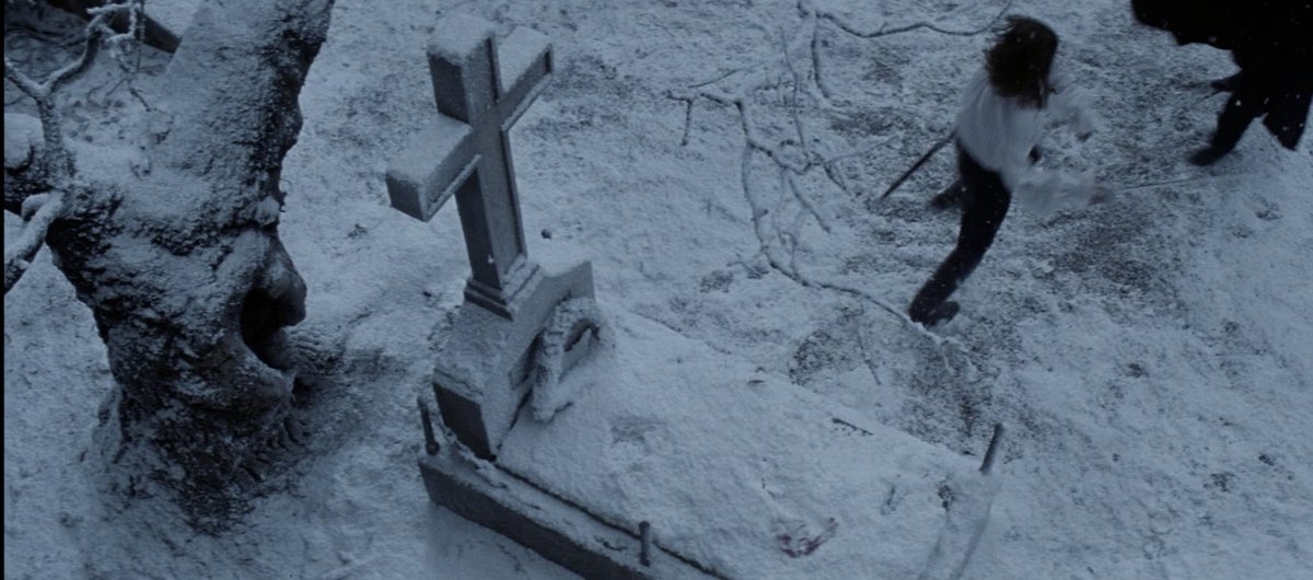 the phantom of the opera (2004)