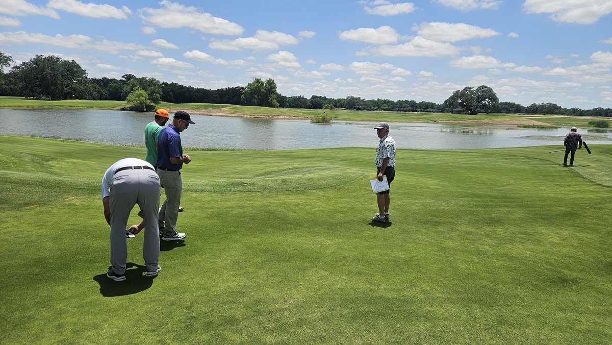 TurfMamba's tweet image. I want to thank @doguetdavid for taking the time to show us the incredible Zoysias at @bladerunnerfarm.