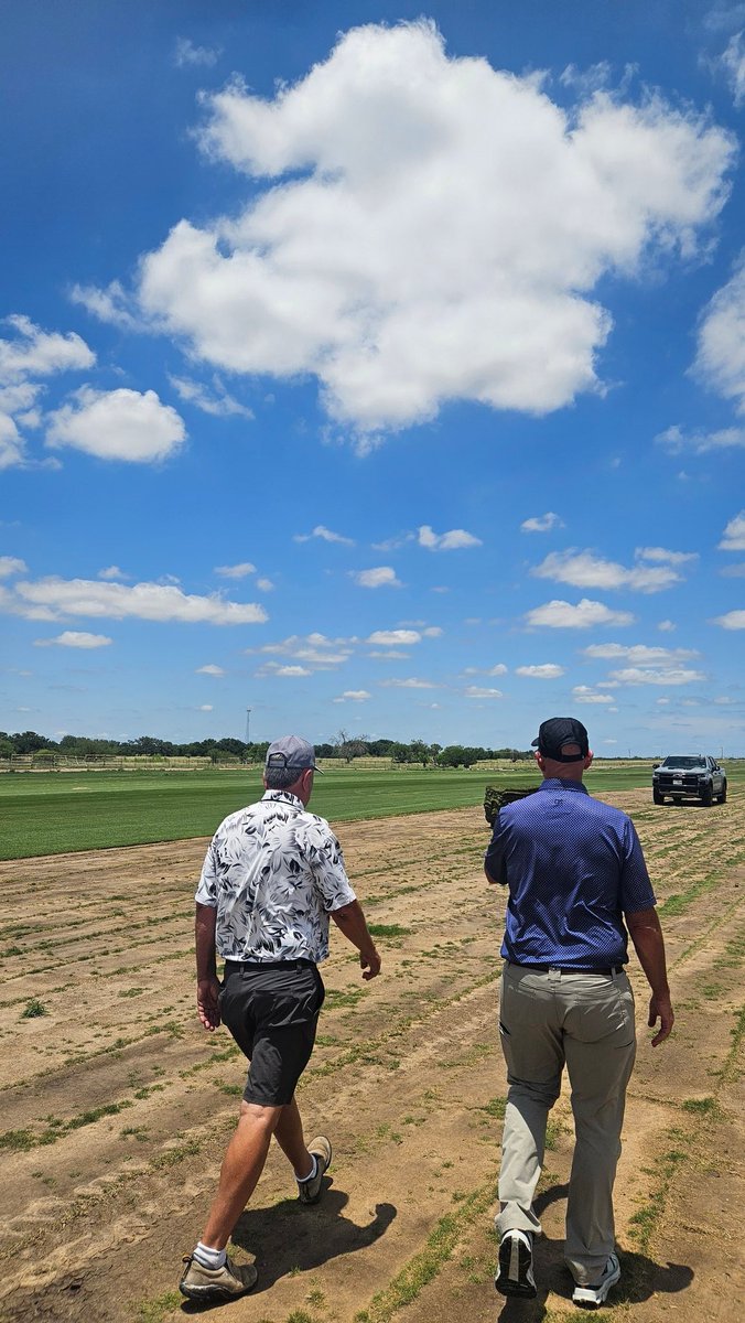 TurfMamba's tweet image. I want to thank @doguetdavid for taking the time to show us the incredible Zoysias at @bladerunnerfarm.